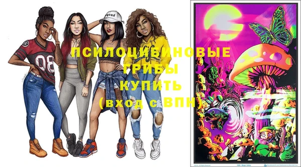 экстази Медвежьегорск