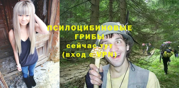 экстази Медвежьегорск